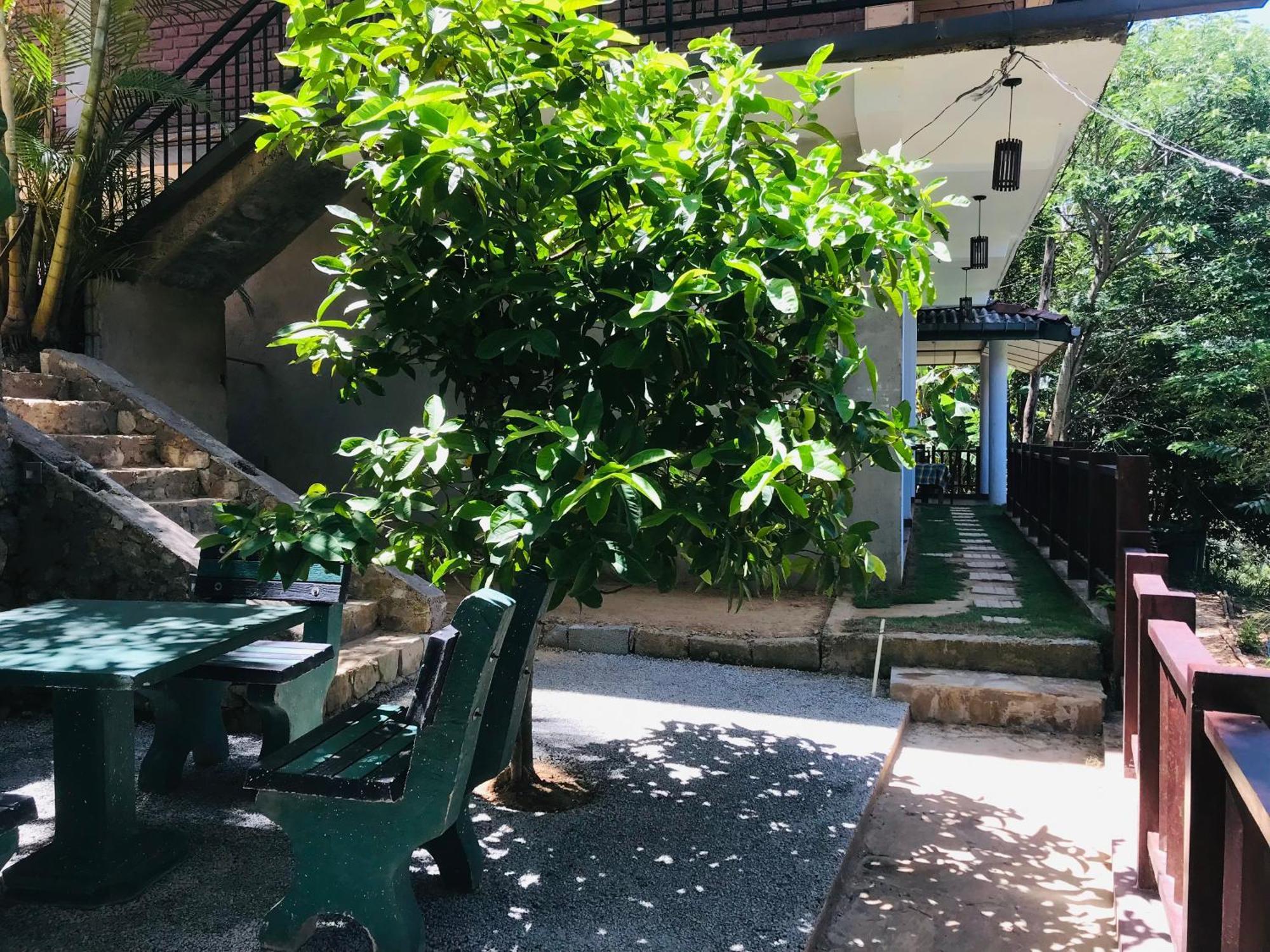 Ridge View Guest House -Ella Kültér fotó